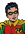 Robin (earth-d)